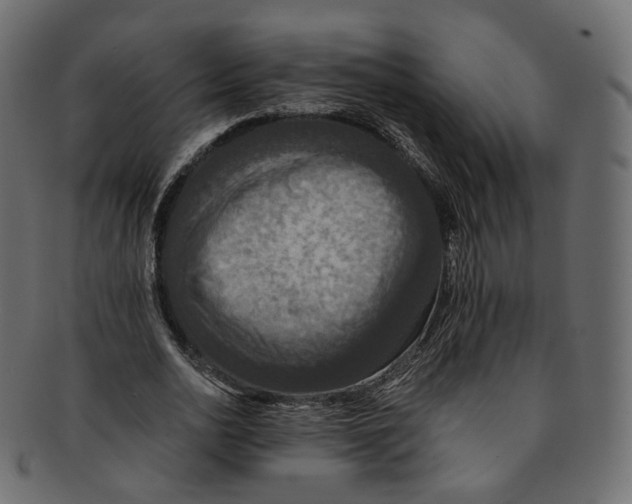 X0000091940726200710031117