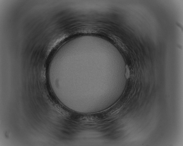 X0000091940727200710031117