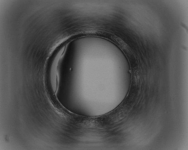 X0000091940728200710031117