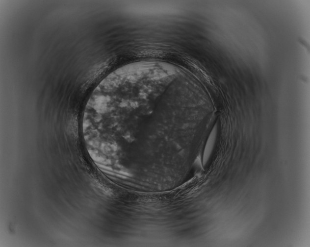 X0000091940729200710031117