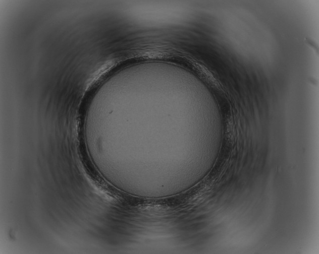 X0000091940730200710031117