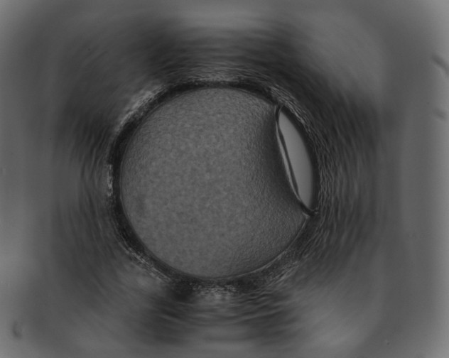 X0000091940731200710031117