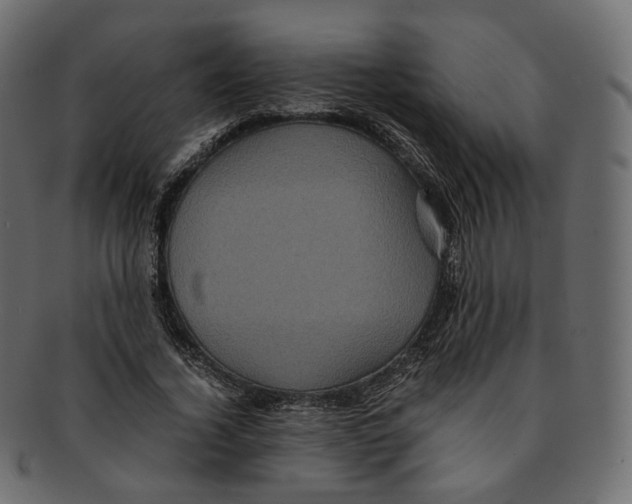 X0000091940732200710031117