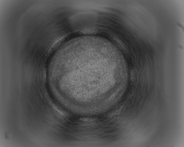 X0000091940733200710031117