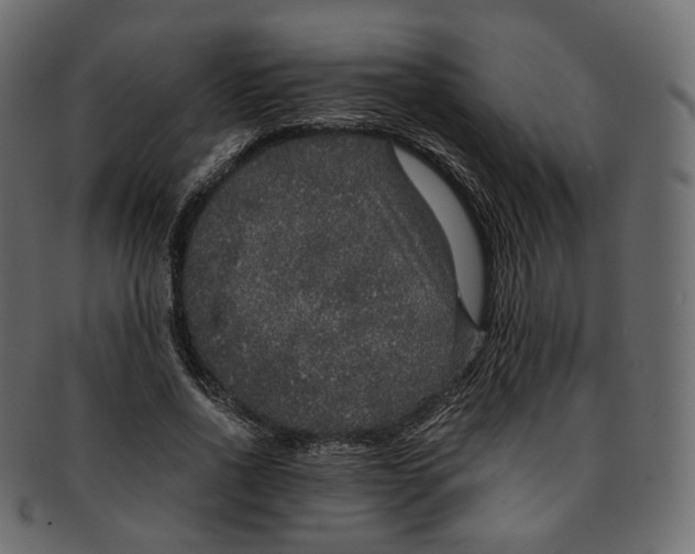 X0000091940734200710031117