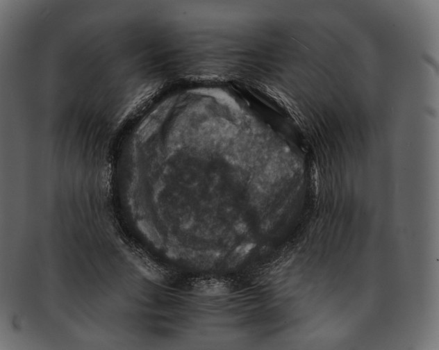 X0000091940735200710031117