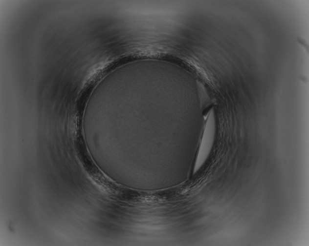 X0000091940736200710031117