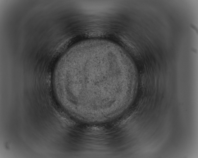 X0000091940737200710031117