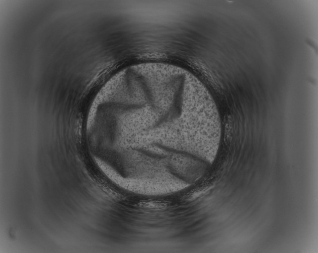 X0000091940739200710031117