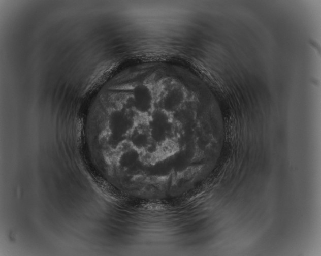 X0000091940742200710031117