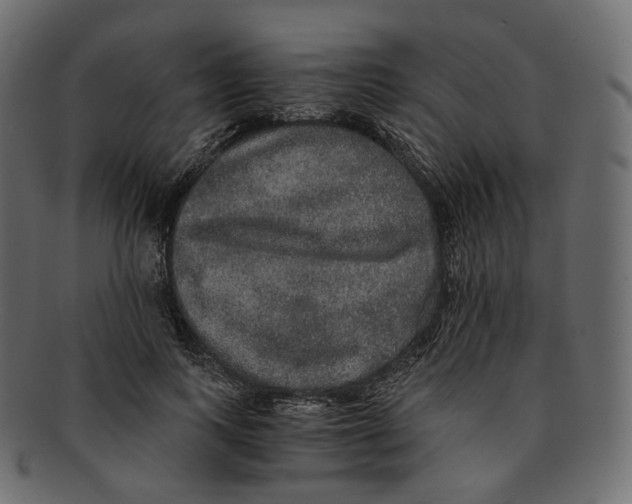 X0000091940743200710031117