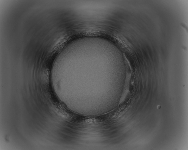 X0000091940744200710031117