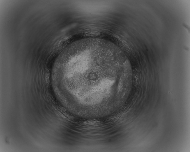 X0000091940745200710031117