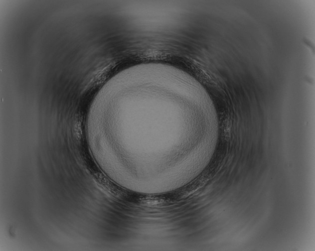 X0000091940746200710031117