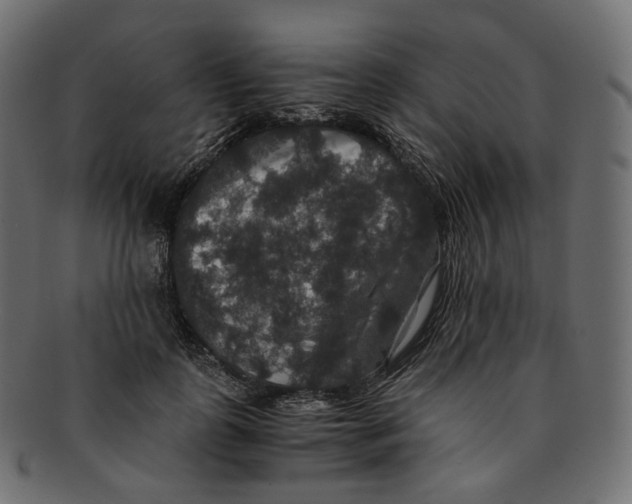 X0000091940747200710031117