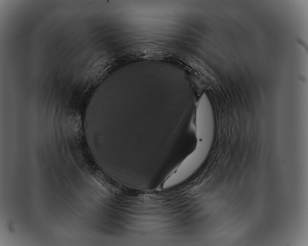 X0000091940748200710031117