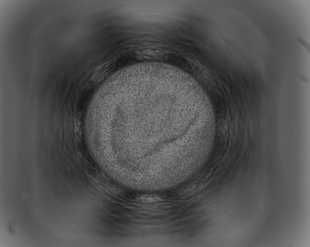 X0000091940749200710031117