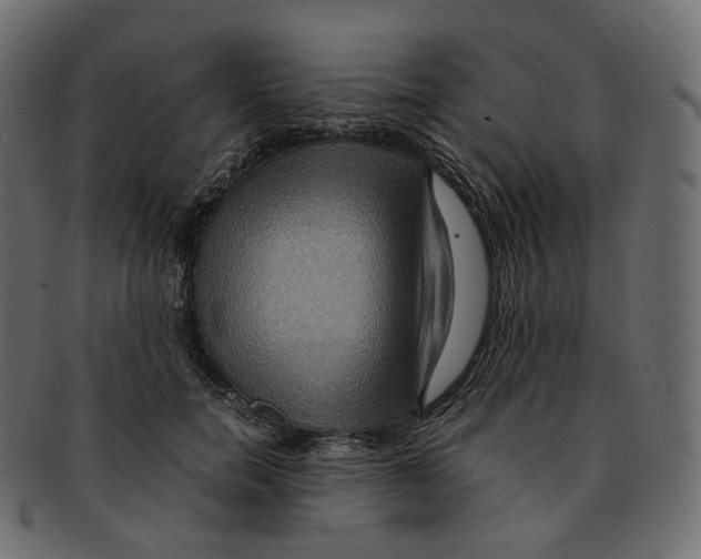 X0000091940750200710031117