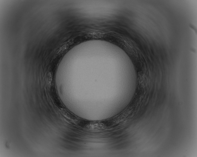 X0000091940752200710031117