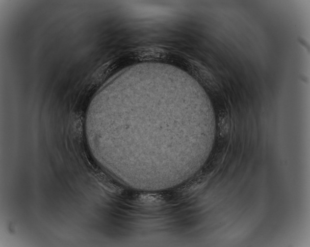 X0000091940753200710031117