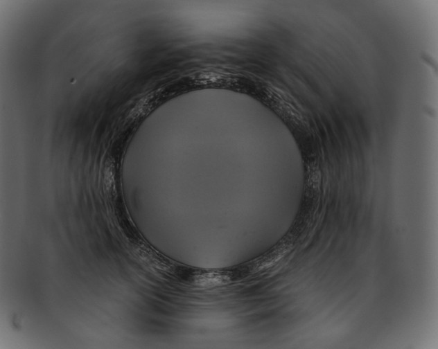 X0000091940754200710031117