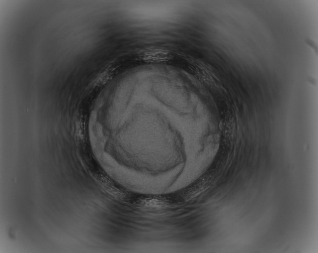 X0000091940755200710031117