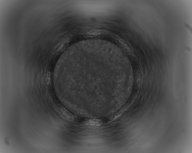 X0000091940758200710031117