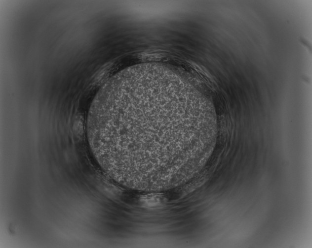 X0000091940761200710031117