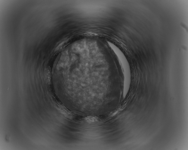 X0000091940762200710031117