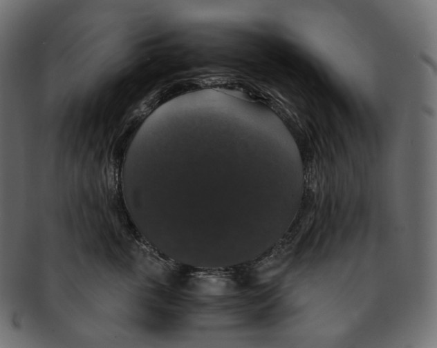 X0000091940763200710031117