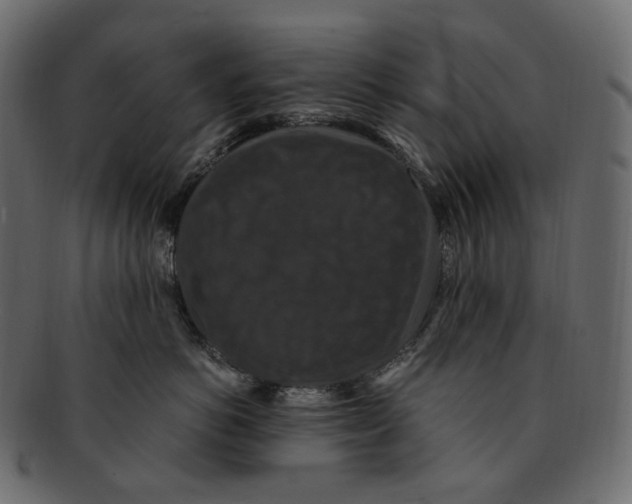 X0000091940766200710031117