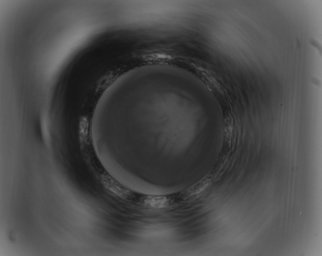 X0000091940767200710031117