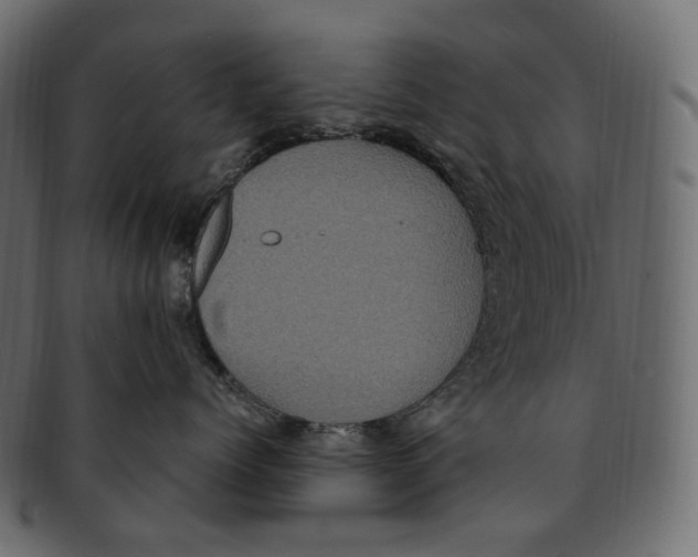 X0000091940768200710031117