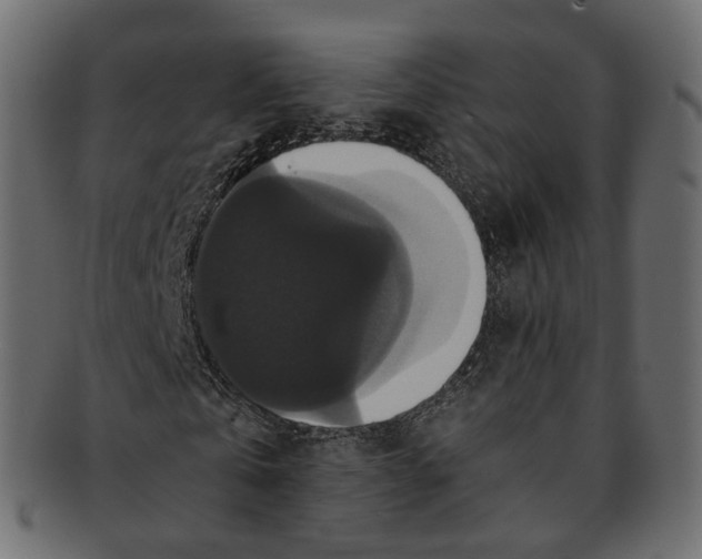 X0000091940769200710031117