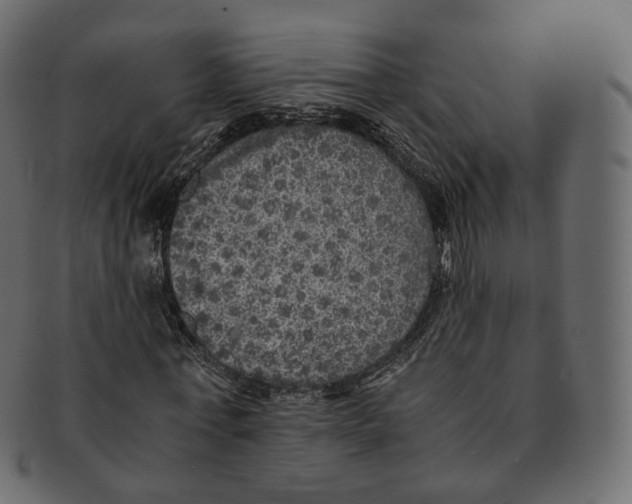 X0000091940771200710031117