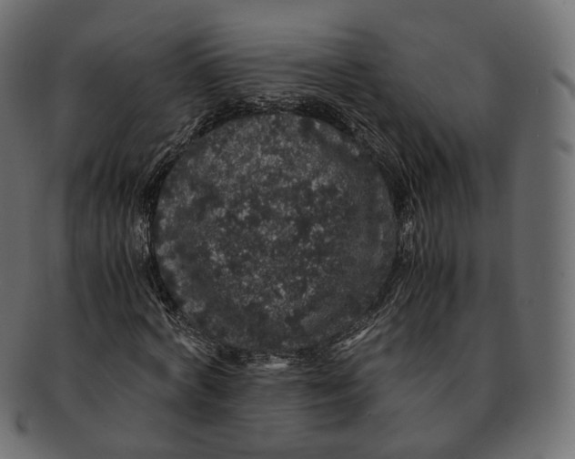 X0000091940772200710031117