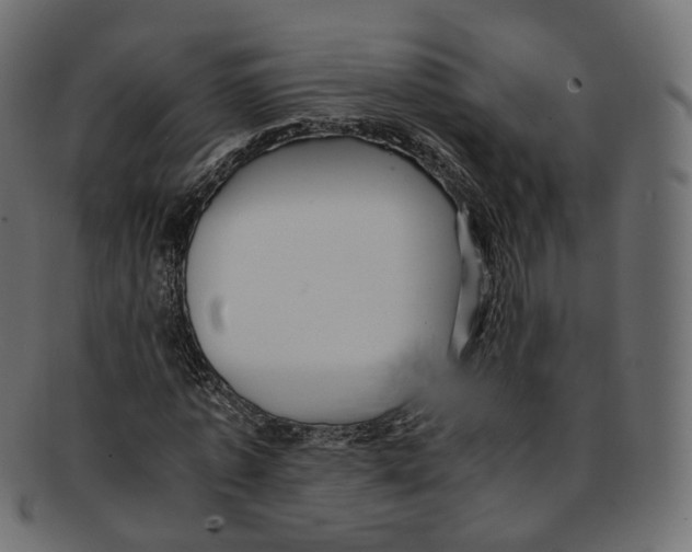 X0000091940773200710031117