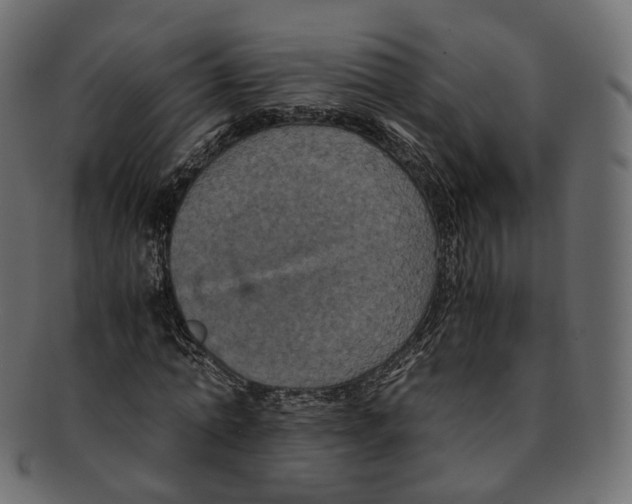 X0000091940774200710031117