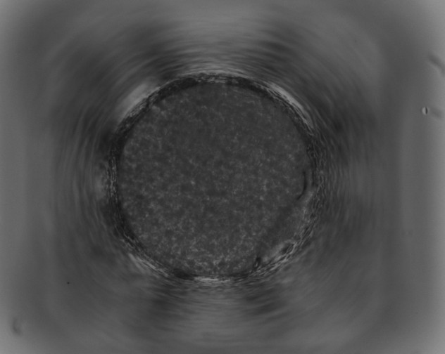 X0000091940775200710031117