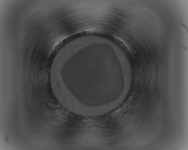 X0000091940776200710031117