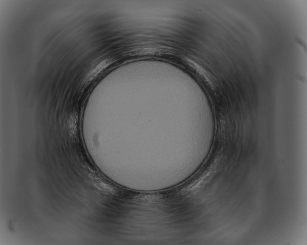 X0000091940778200710031117