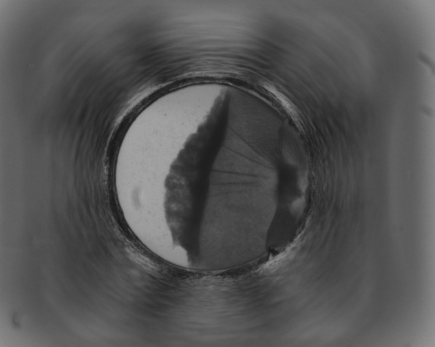 X0000091940779200710031117