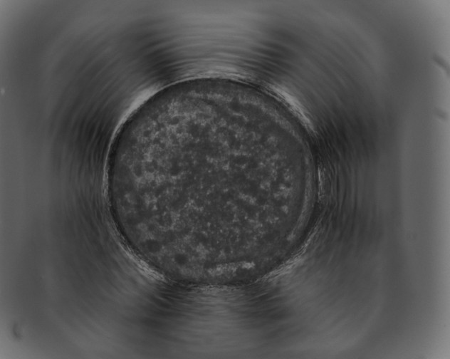 X0000091940780200710031117