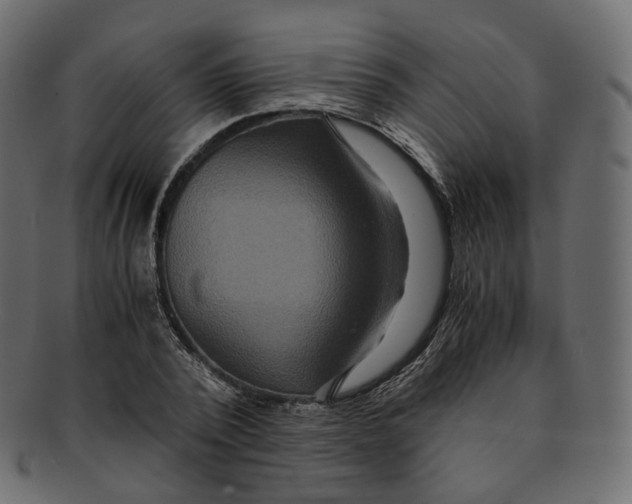 X0000091940784200710031117