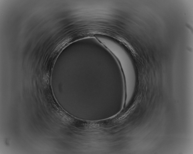 X0000091940785200710031117