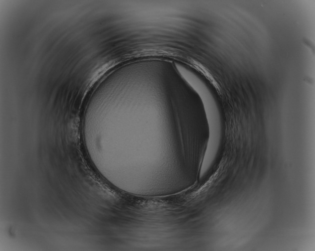 X0000091940786200710031117