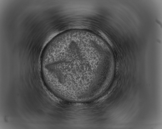 X0000091940787200710031117