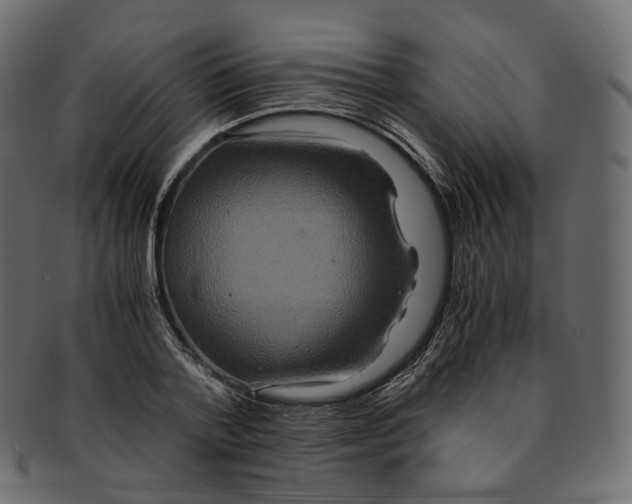 X0000091940788200710031117