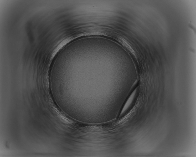 X0000091940789200710031117