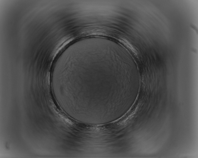 X0000091940790200710031117